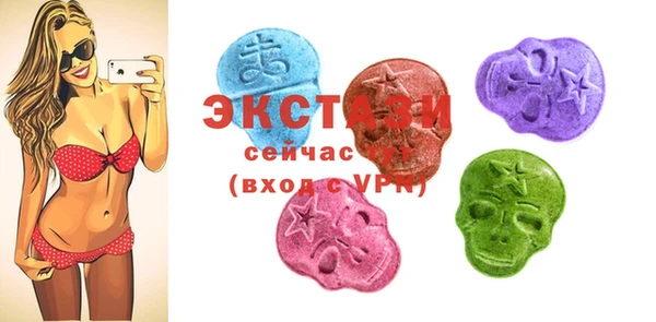 ECSTASY Богданович
