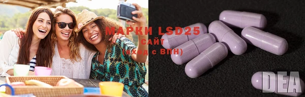 PSILOCYBIN Богородск