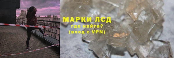 прущие грибы Бугульма