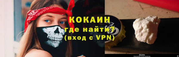 прущие грибы Бугульма