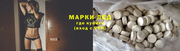 ECSTASY Богданович