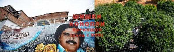 PSILOCYBIN Богородск