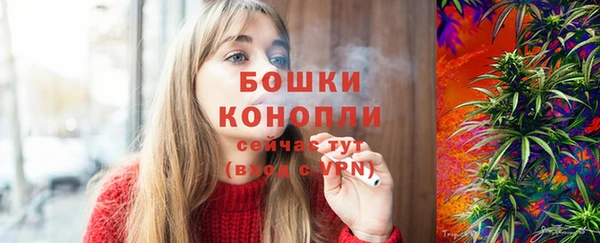 прущие грибы Бугульма