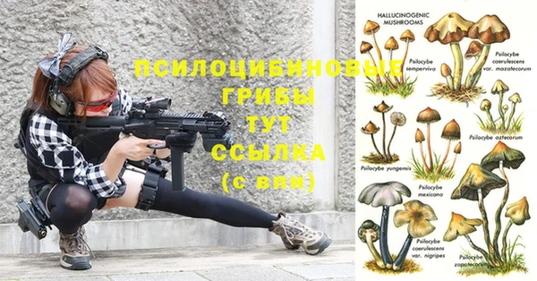 марки nbome Богородицк